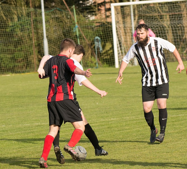 該獎項無緣 該獎項無緣