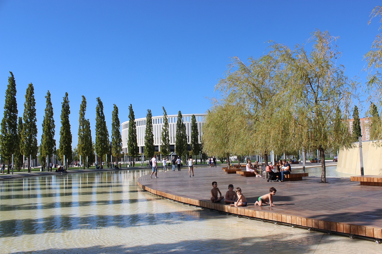 的中場巨星 的中場巨星