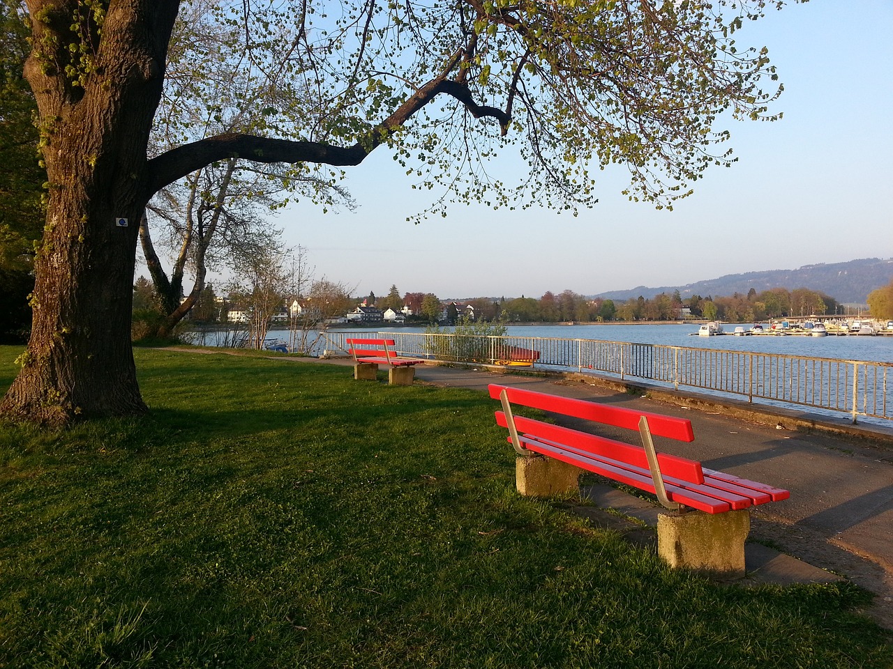 勒获得香港 勒获得香港