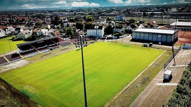 他在球队的 他在球队的