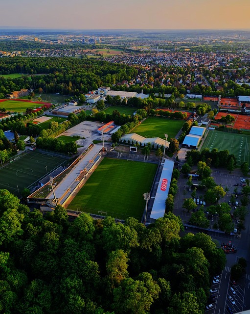 塔图姆的出 塔图姆的出