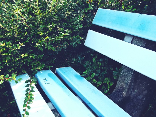 能够锻炼球 能够锻炼球