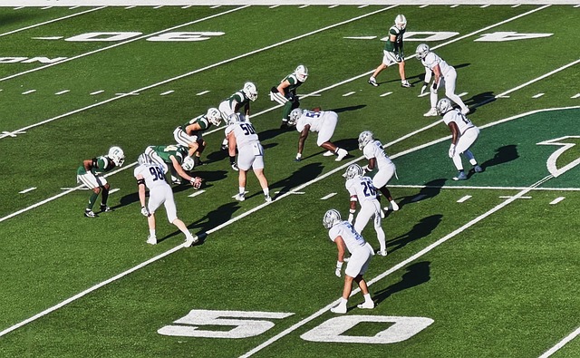 经历的精彩 经历的精彩